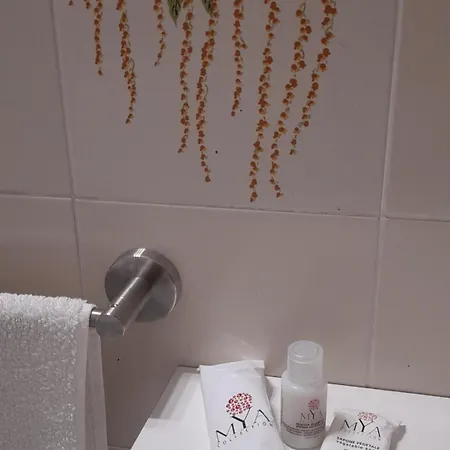 Harmony Apartament *